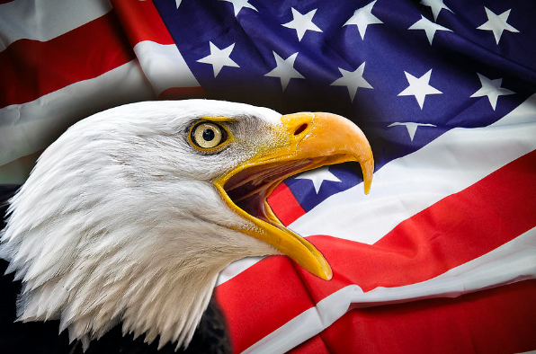 Рис. 1. Хищный американский белоголовый орлан (лат. Haliaéetus leucocéphalus) – национальный символ Соединённых Штатов Америки на фоне флага Соединённых Штатов Америки