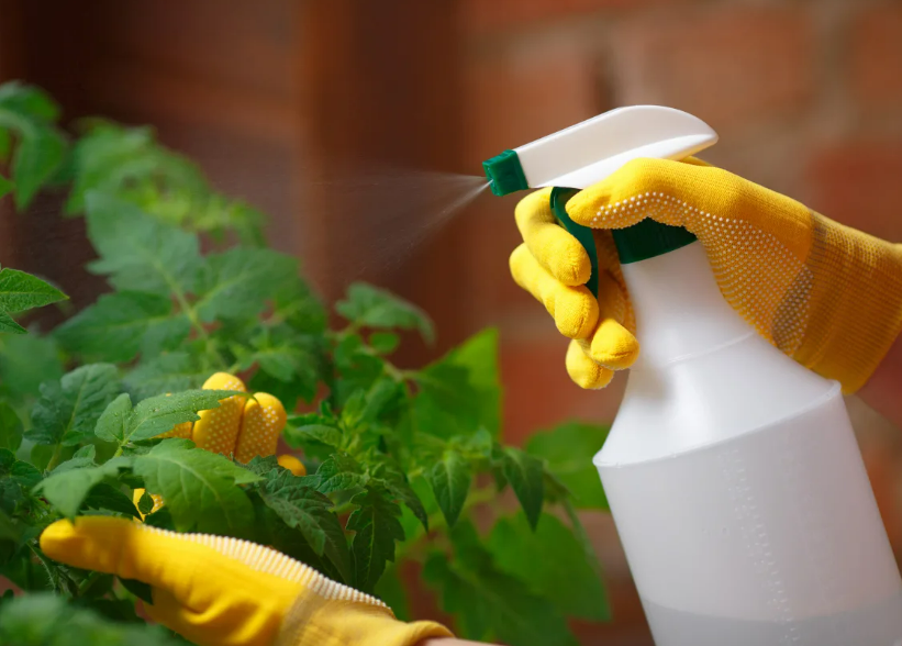 Фотография взята из источника diz-cafe.com 