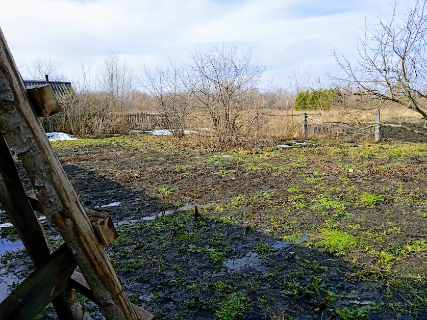 Солнышко в огороде ☀️