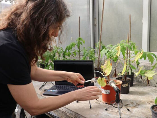     CREDIT Tel Aviv University