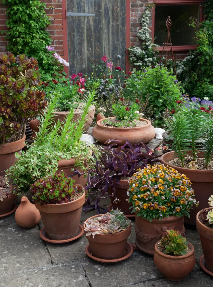 Простые способы украшения сада | Полезные статьи на блоге Беккер