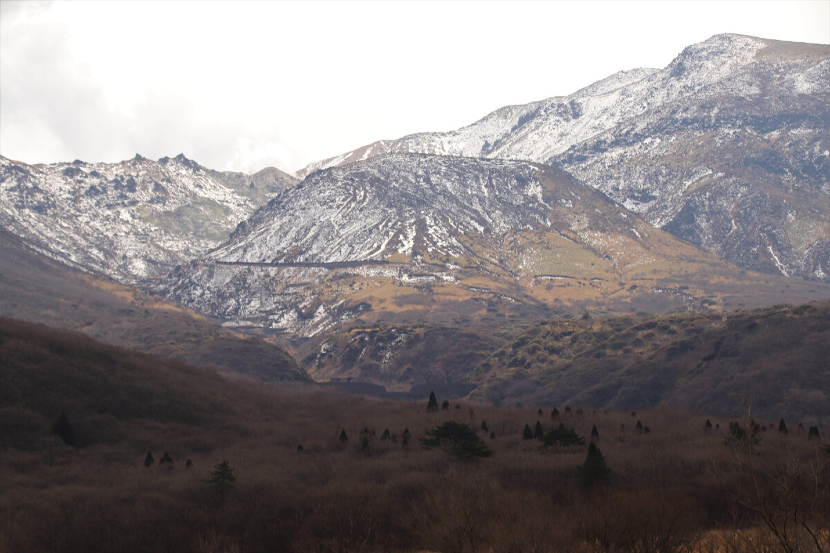Почему японцы каждую весну поджигают склоны гор и любуются этим ...