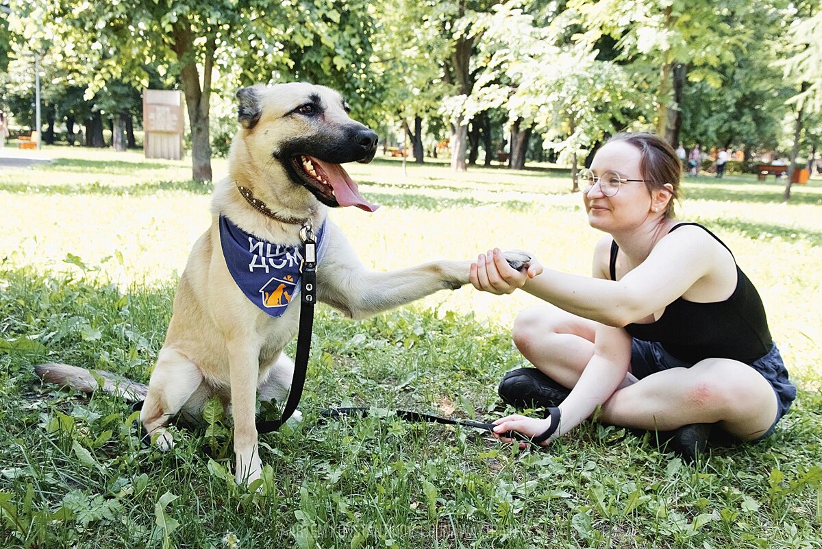 Занятия с собакой укрепляют ваши отношения, но нужно остерегаться ошибок.