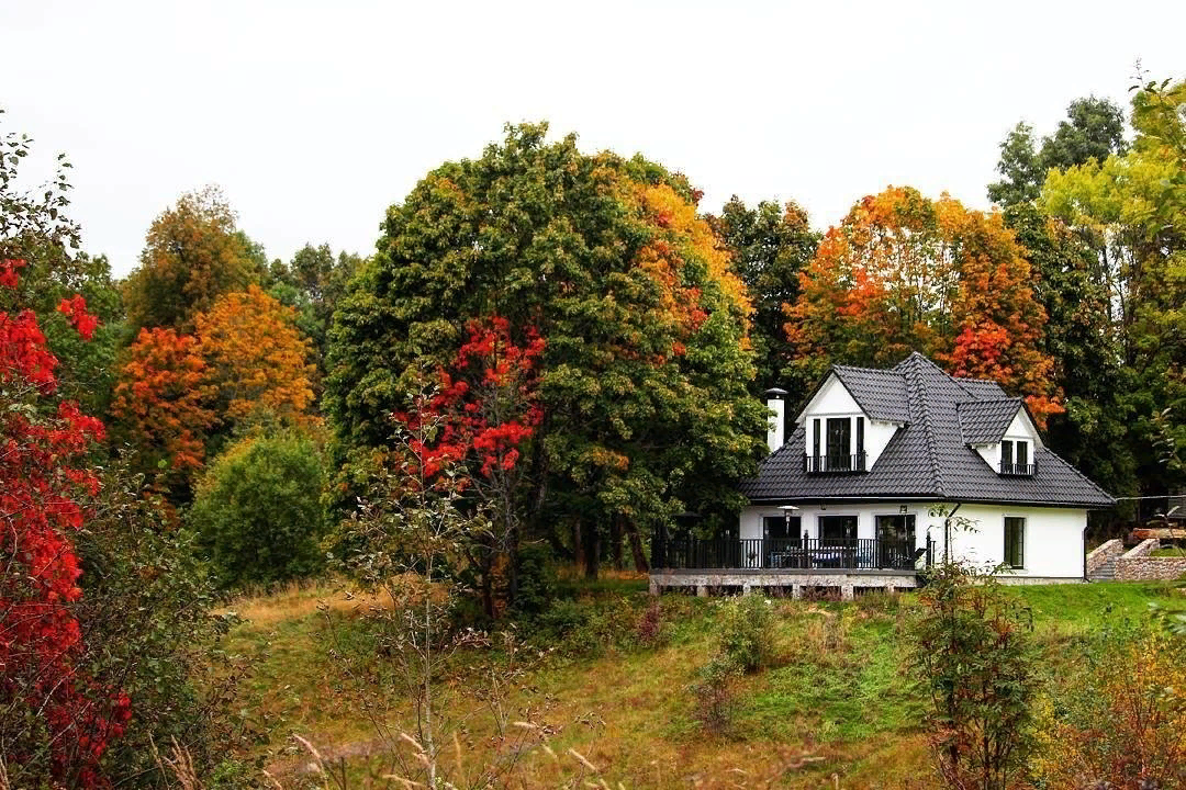 Фото из Яндекс-Картинки бесплатно