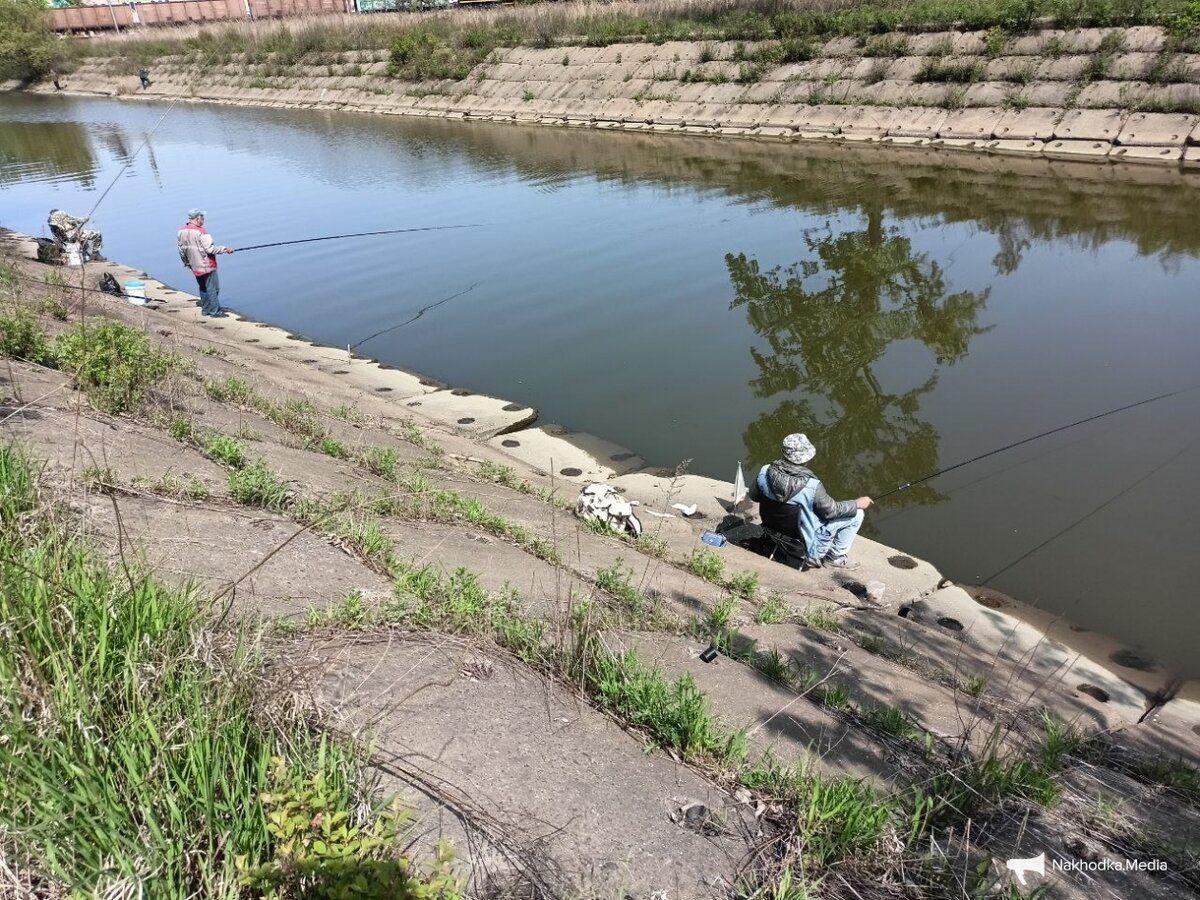 Рыбка в мутной воде: река Каменка в Находке щедра на улов | Nakhodka.Media  | Дзен