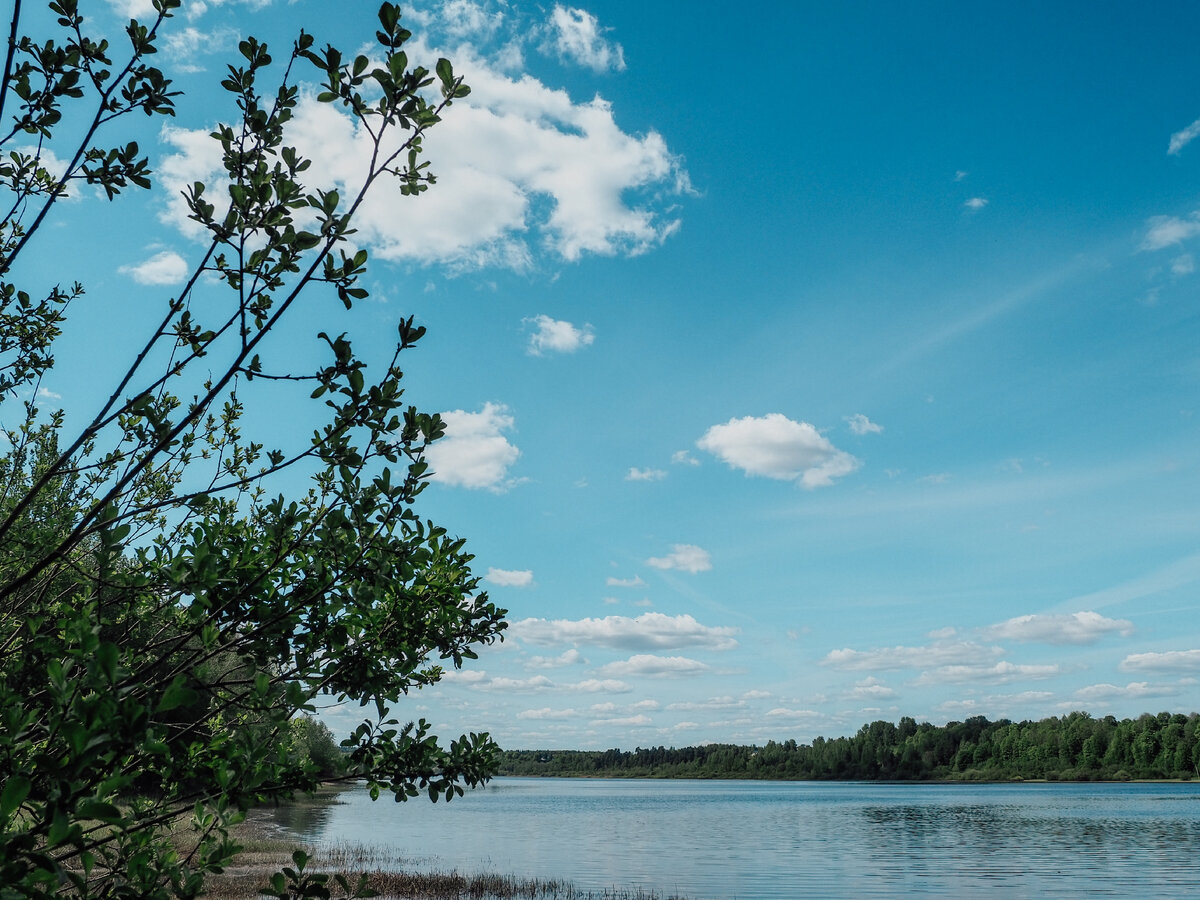 река Оредеж