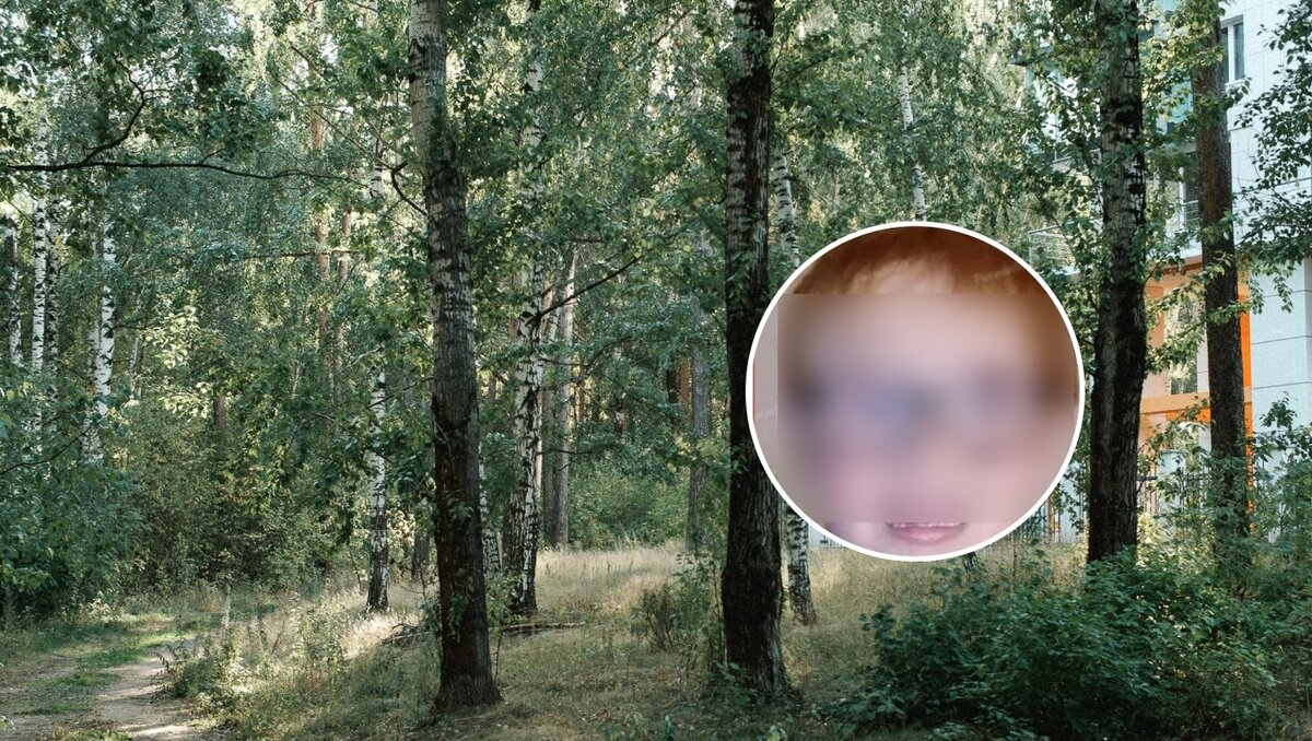     Ребенка удалось найти спустя несколько часов.