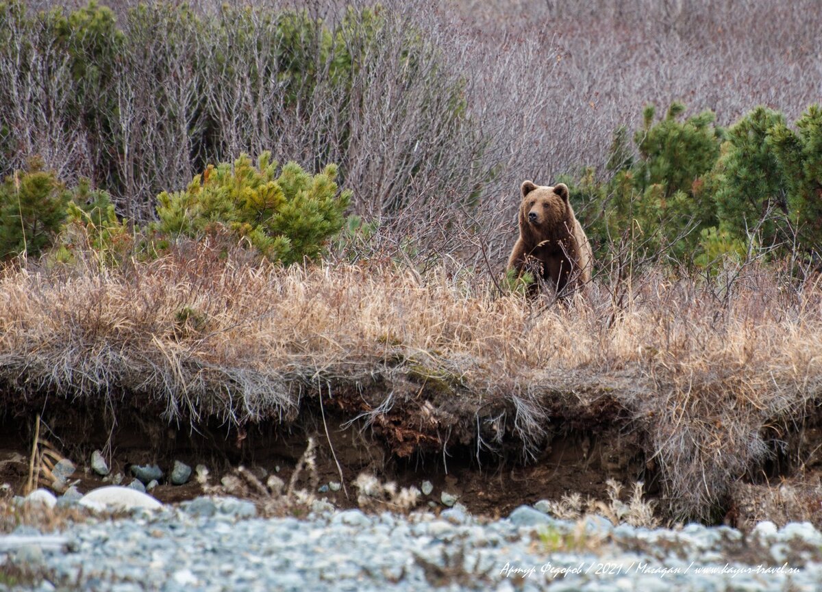 АРТУР ФЁДОРОВ 