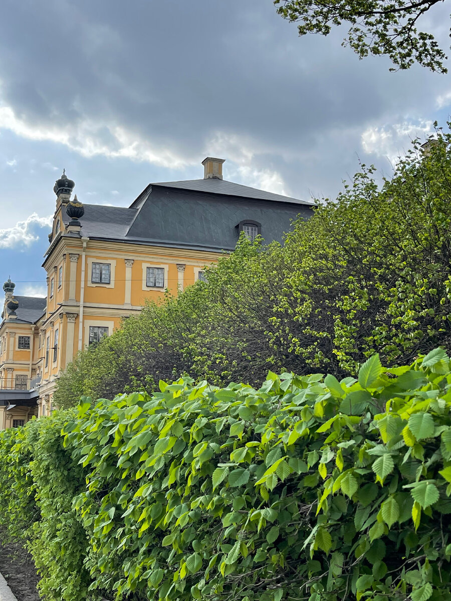 Пойдемте в красивый дворец!