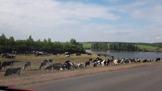 Порно копилка мама и сын