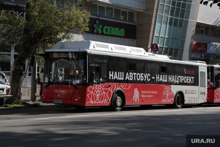    «Зайцев» в пермских автобусах становится больше, отметил депутат