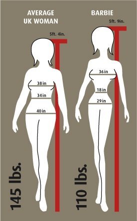 Пропорции тела куклы в сравни с человеческими 