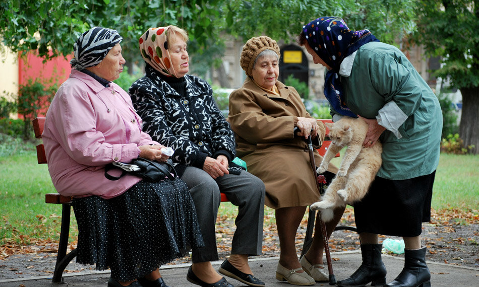 Бабки сплетницы картинки