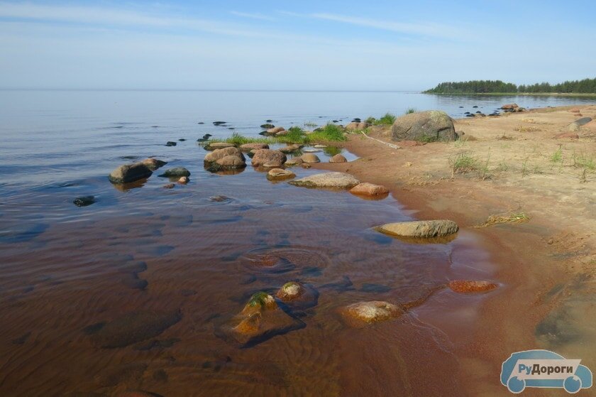 Село Видлица на Ладожском озере