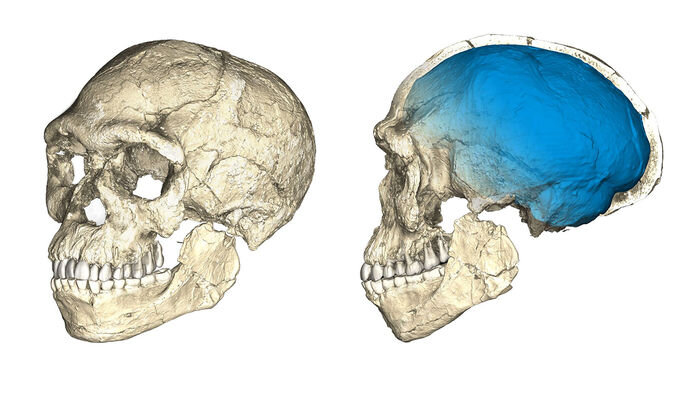 В Марокко найдены останки самого древнего представителя Homo Sapiens