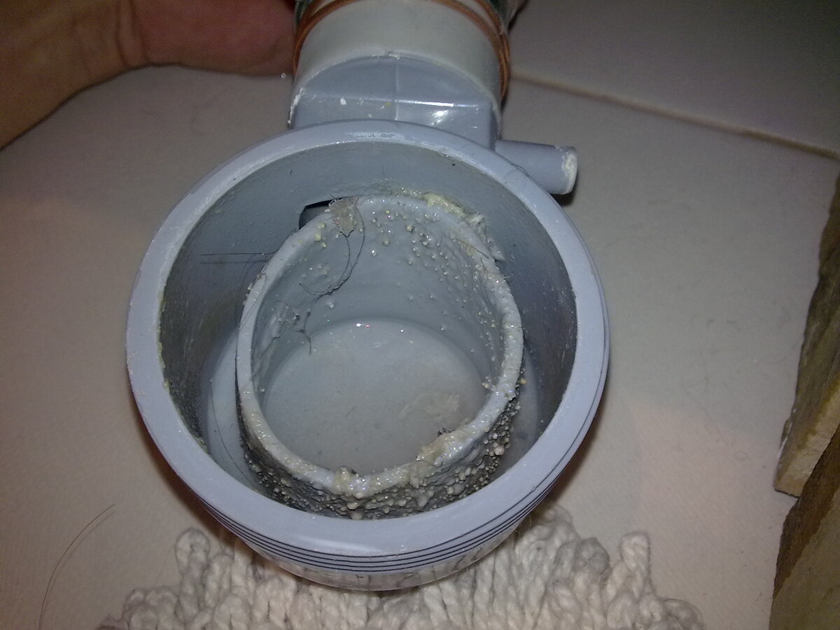 запах из трапа