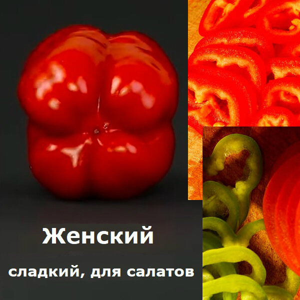 Перец болгарский женский плод