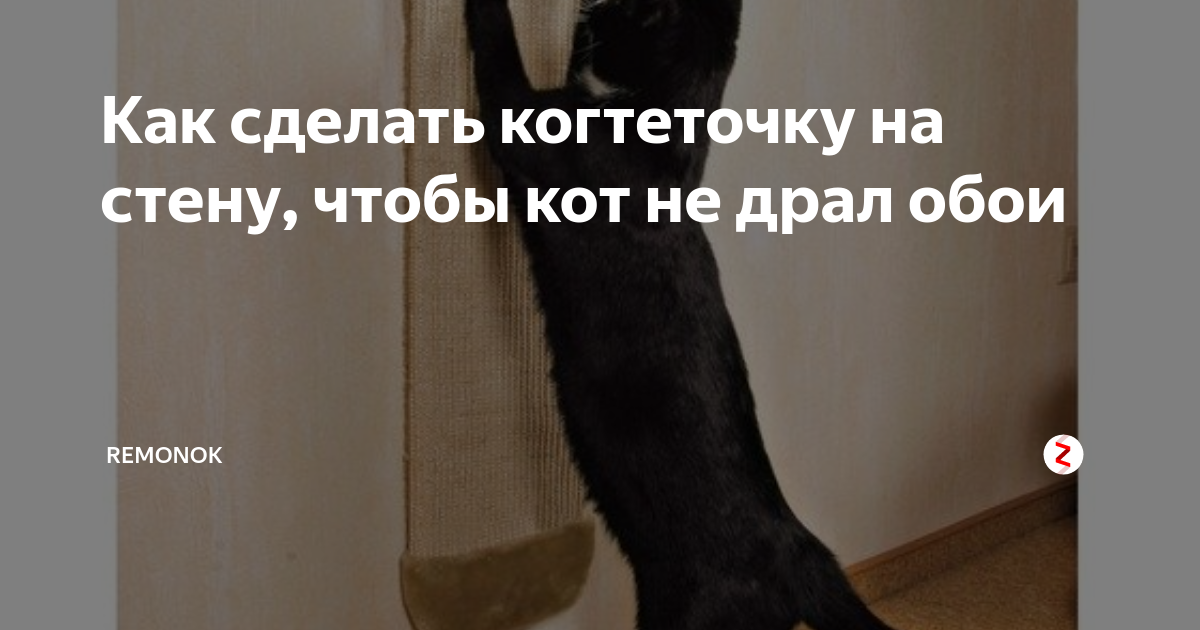 Как сделать когтеточку на стену, чтобы кот не драл обои | Remonok | Дзен