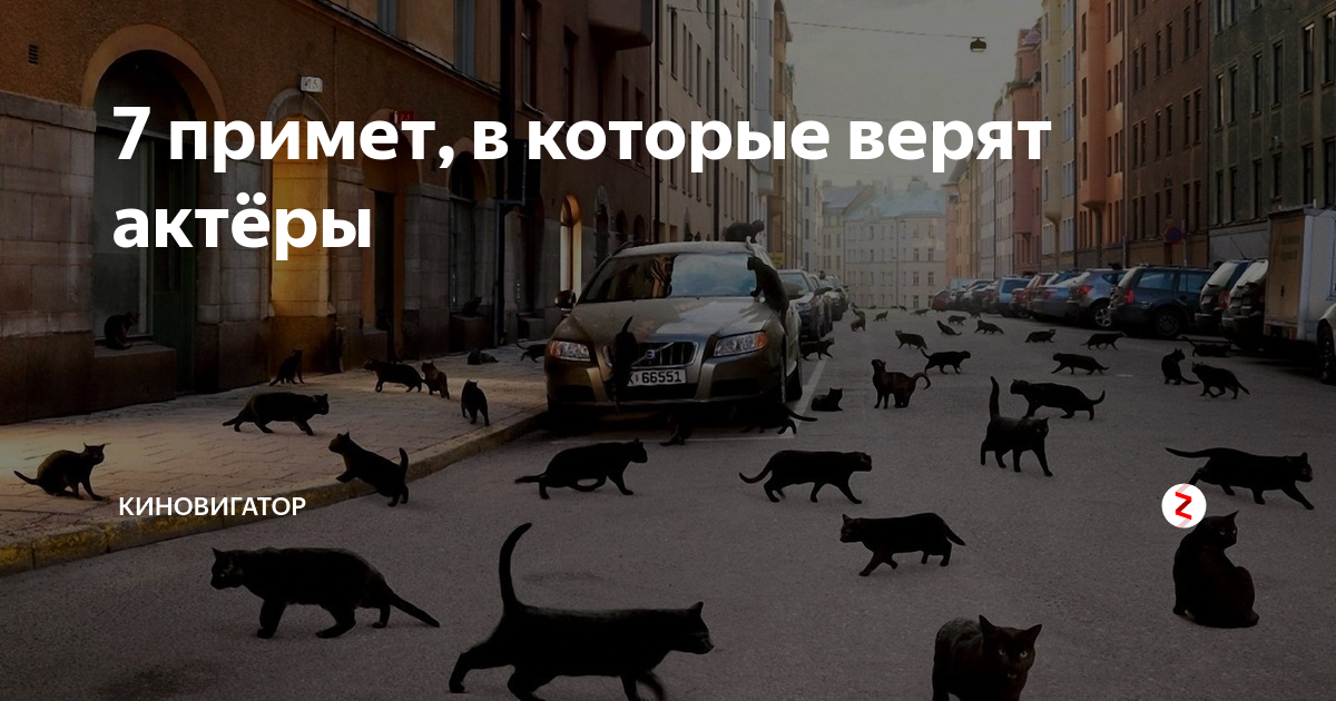 Песня я не поверила в примету давнюю. Вы верите в суеверия. Верить в приметы. Вы верите в приметы?. Верите ли вы в приметы.