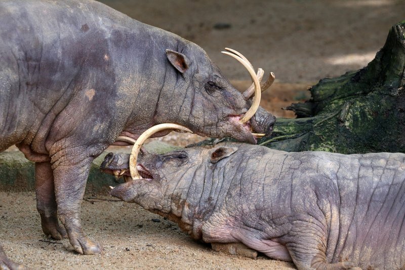 Фото с твоего выпускного!