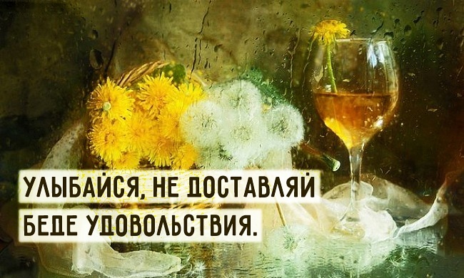 Вино из одуванчиков - квинтэссенция всех переживаний лета, концентрат всего того, что только происходило с героями