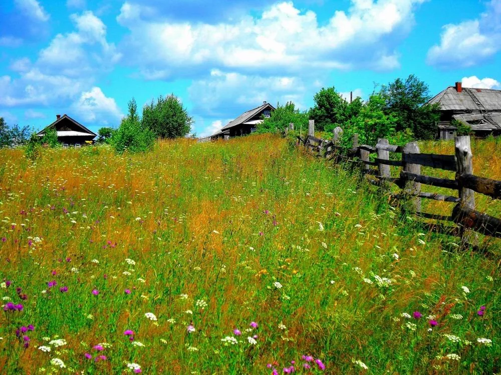 Лето в деревне часть 5. Природа деревня. Лето в деревне. Природа в деревне летом. Деревенская природа.