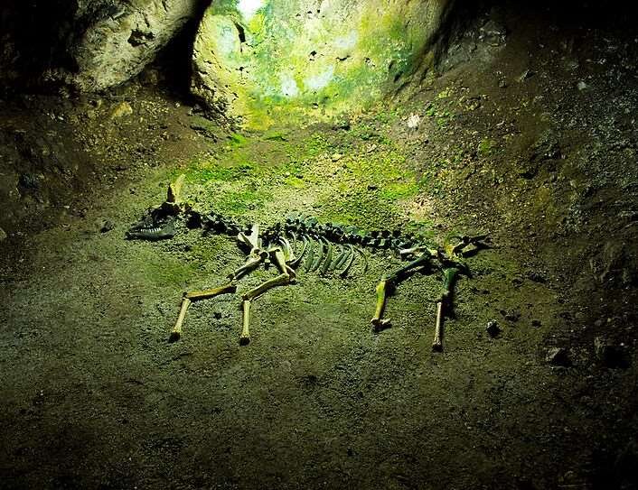 фот ос сайта ru.wikipedia.org