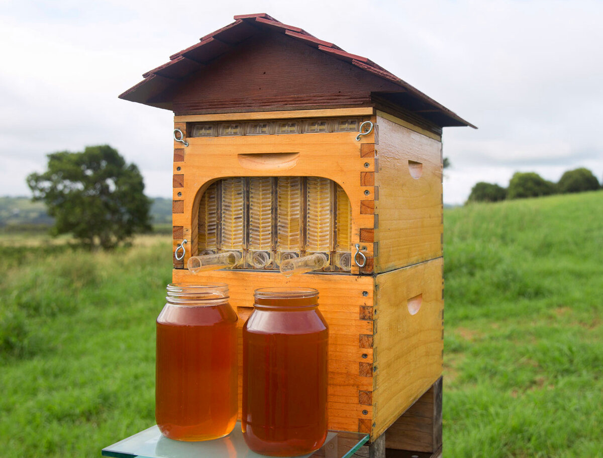 Как изготовить улей для пчел из фанеры и пенопласта просто