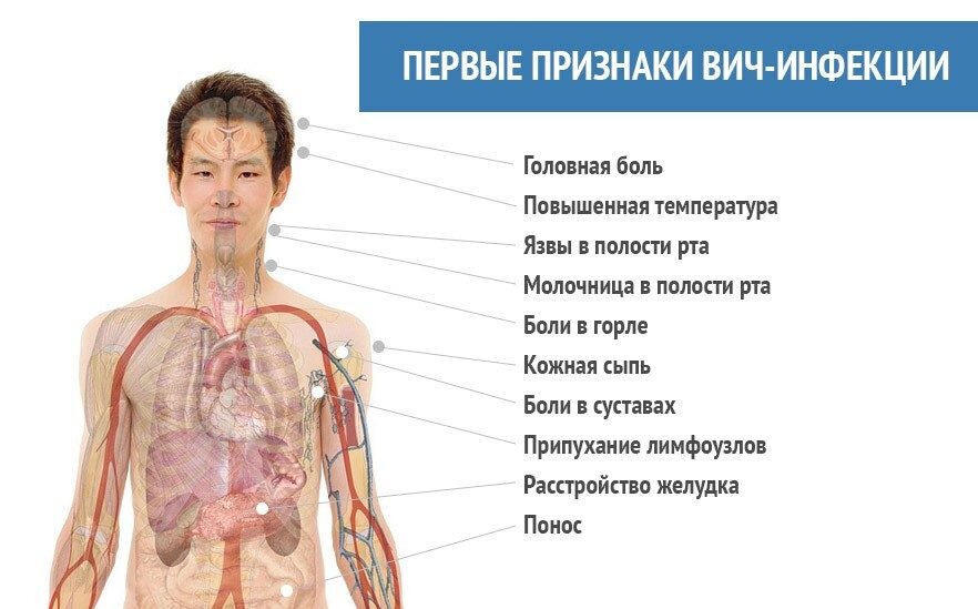 Россиянам рассказали, что означает увеличение лимфоузлов