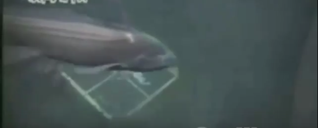 до столкновения 