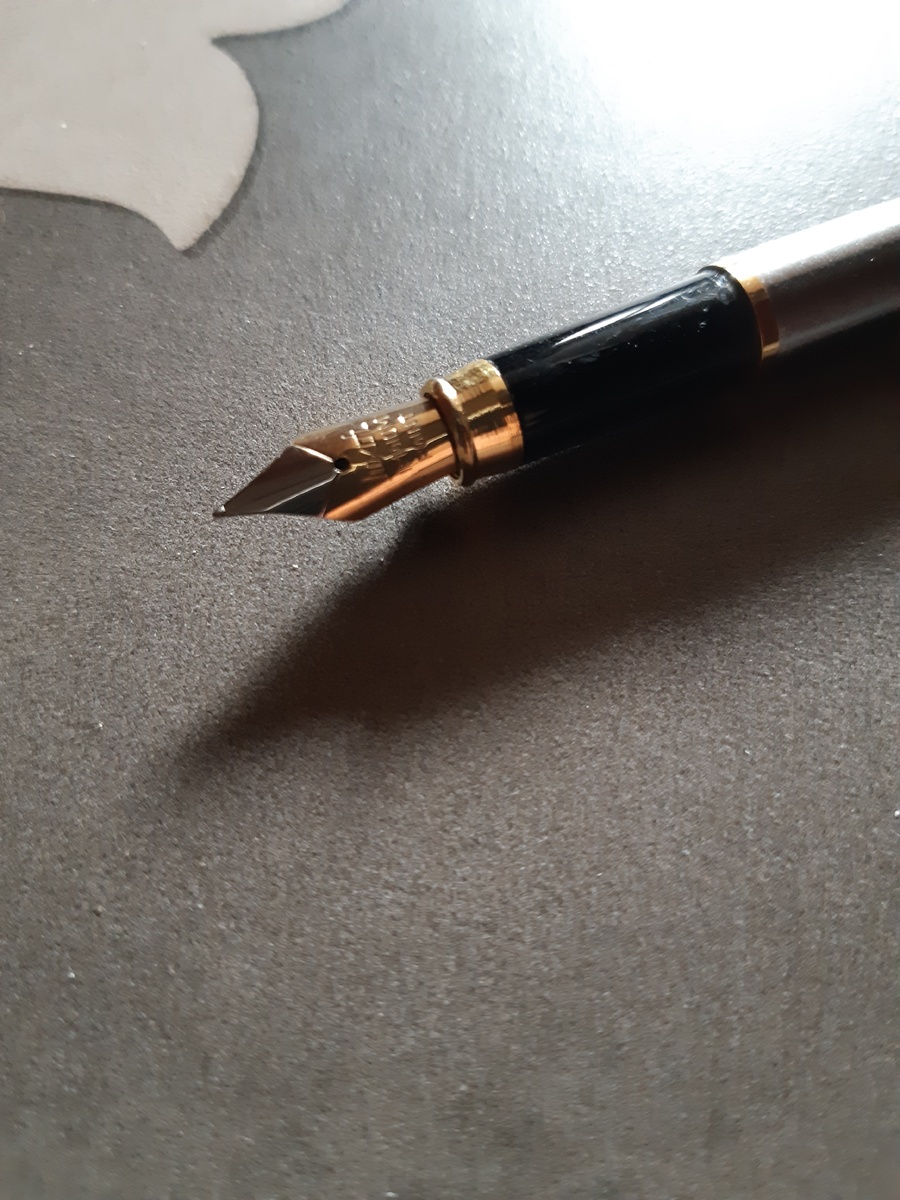 Писатель с золотым пером - это как дворник с хрустальной метлой, то есть вид редкий