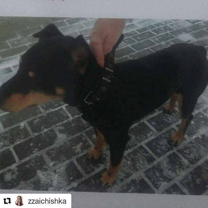 https://www.instagram.com/zzaichishka