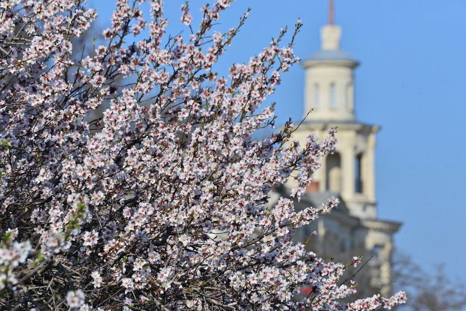 Фото: Юрий Югансон 