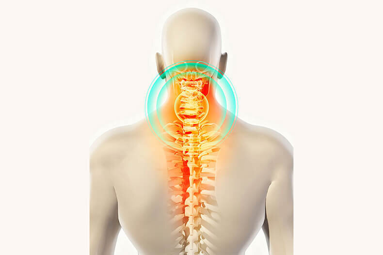 Как делать растяжку позвоночника: простые упражнения от нейрохирурга Игоря Борщенко 