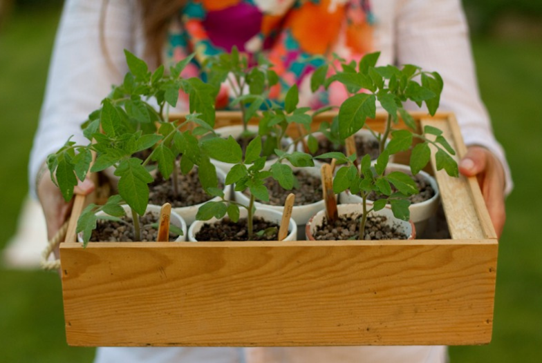 С каждым разом нужно увеличивать период закалки на 1-2 часа.