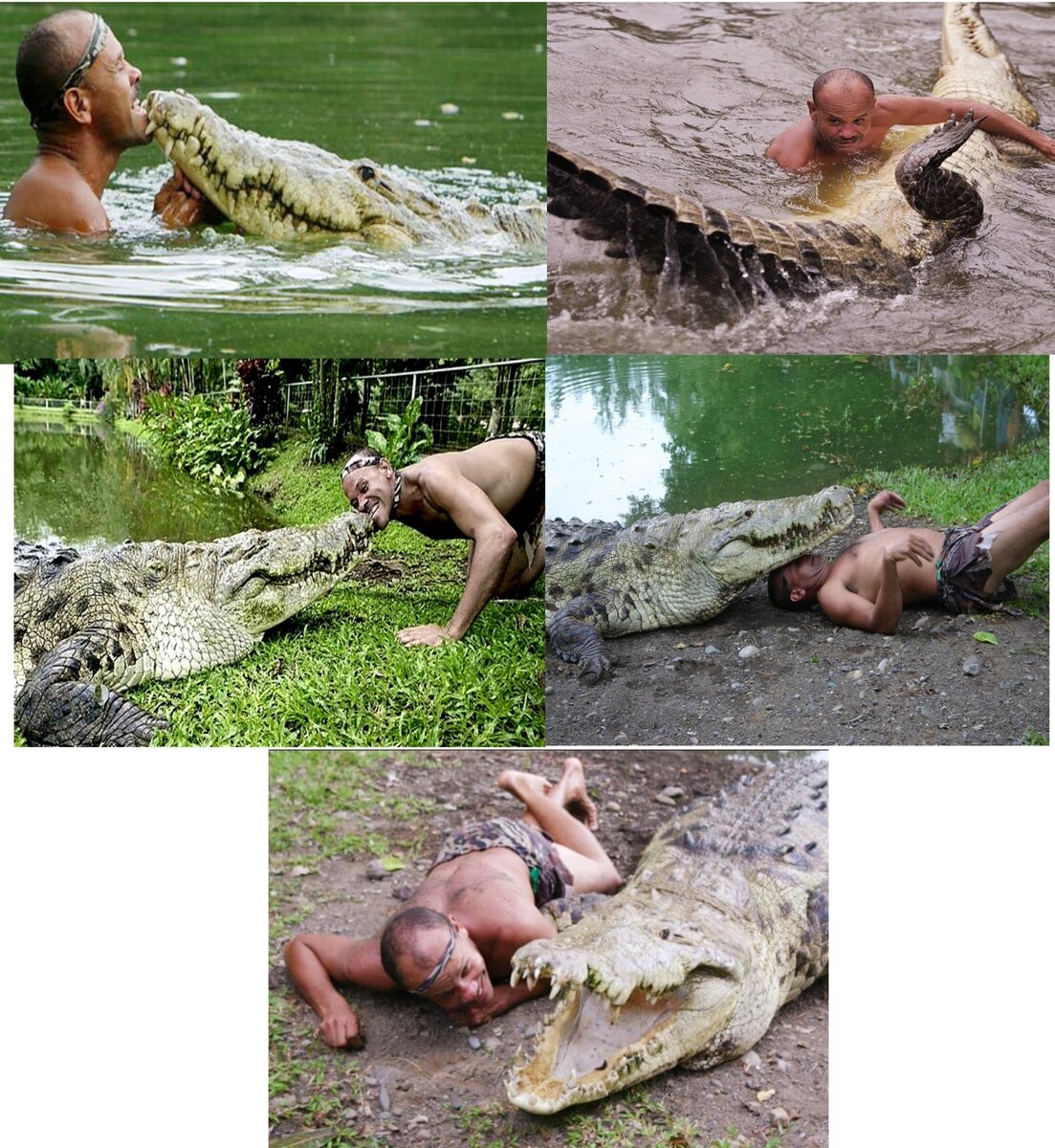 Фото scribol.com
