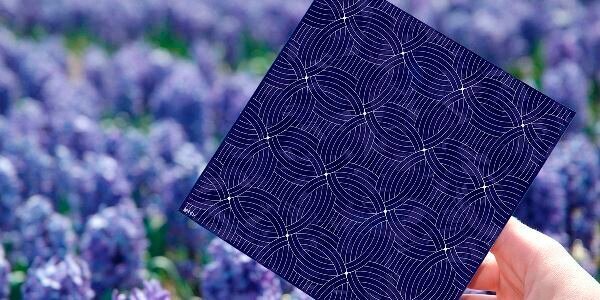 Красивые солнечные ячейки для модулей Medusa от голландцев