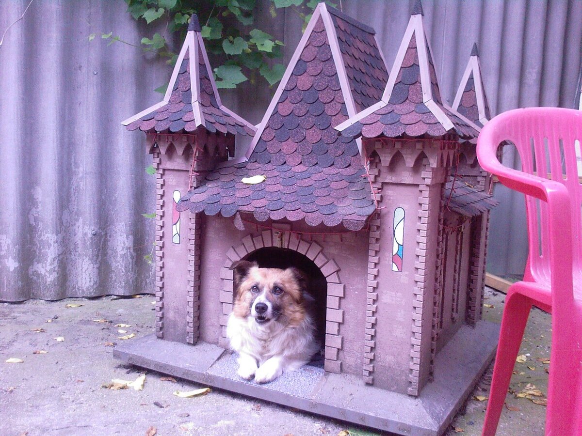 Fallout 4 как создать будку для собаки фото 54