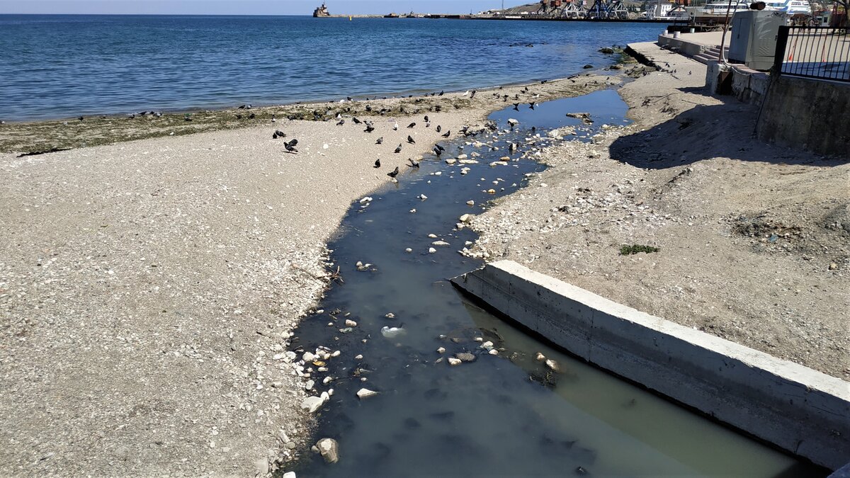 Канализация сливается в море. Канализационные стоки в черное море в Севастополе. Загрязнение черного моря сточными водами. Феодосия канализация в море.