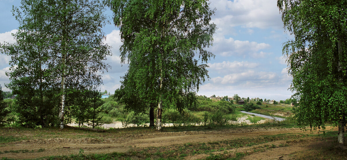 две березки. одинокая береза. поликарпова, т. российские просторы березы есенин. две березки.