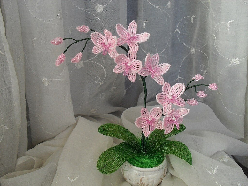 Схемы плетения орхидеи из бисера на практике