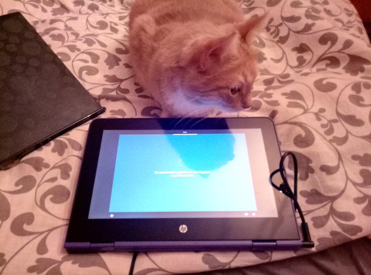 Тиша устанавливает винду