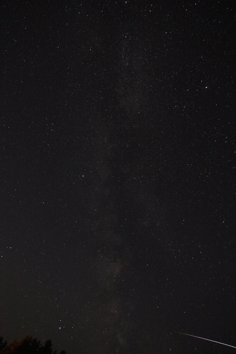 МКС над лесом. И Млечный путь.