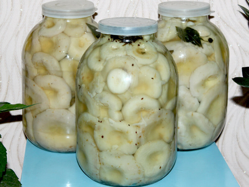 Соленые белые грибы рецепт с фото пошаговый от Yulia 🏃‍♂️ - gkhyarovoe.ru