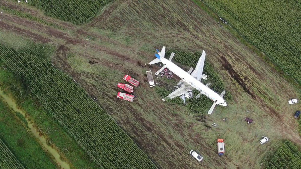 Самолет в поле новосибирск. Самолет в поле около Домодедово. Разбитый самолет в поле. Упавший самолет возле Домодедово.