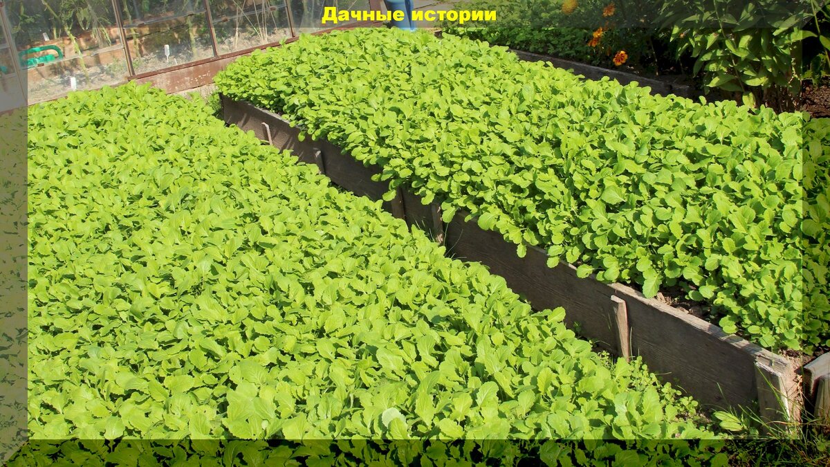 https://vk.com/photo-159774511_457242283