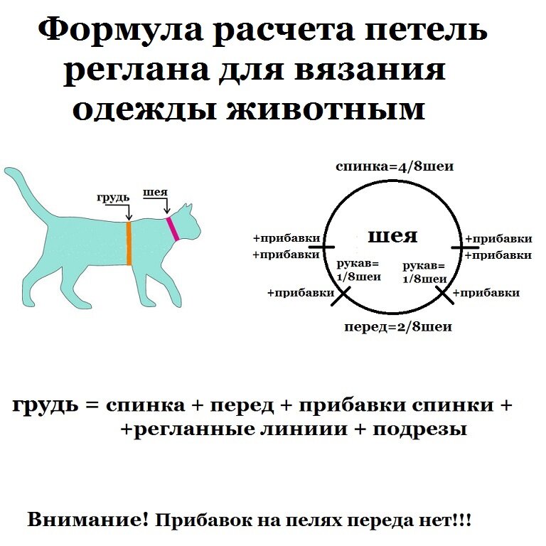 Мерки кота. Расчет реглана для собаки. Расчет петель реглана для собаки. Формула расчёта петель на реглан. Расчет реглана для свитера на собаку.