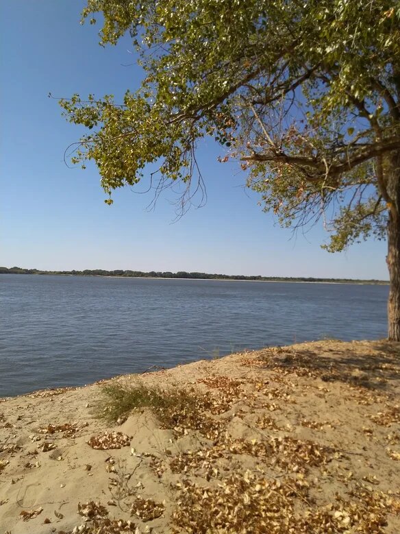 Волга Матушка