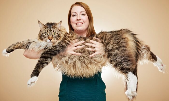 Источник: www.pets-global.com