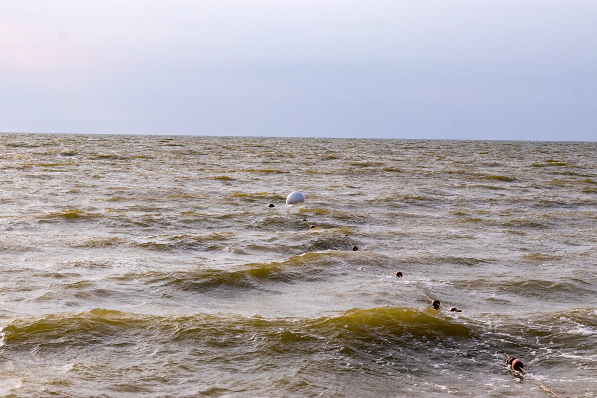 азовское море ейск, мутное море, море в ейске сейчас, вода в ейске